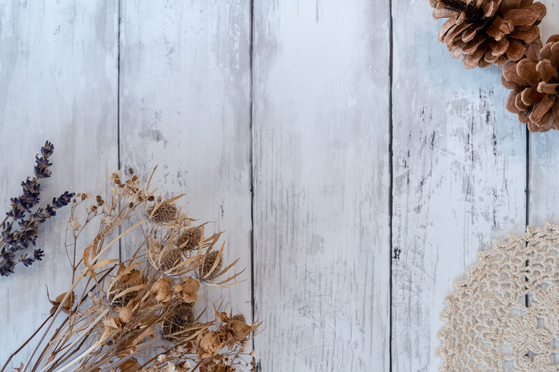 AdobeStock_401729918